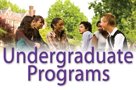 Undergraduate Program .